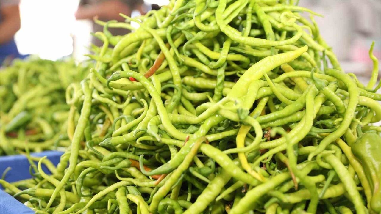 Çolakbayrakdar: Organik Tarımı Kayseri’ye Sevdirip Yeni Bir Vizyon Getirdik