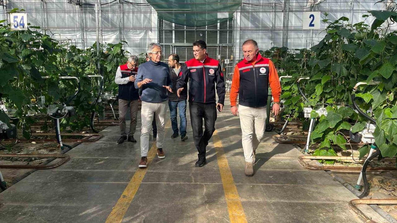 Çorlu’da Modern Seracılık: İhracat Odaklı Salatalık ve Süs Bitkisi Üretimi