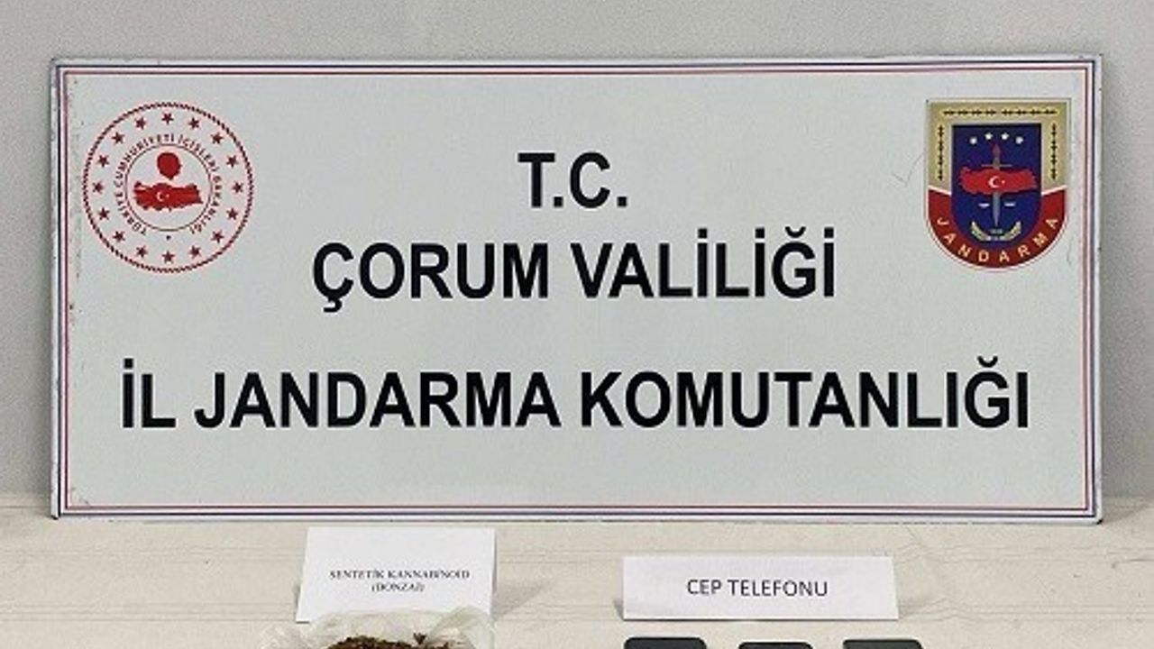 Çorum'da çadırda skunk yetiştiren şüpheliye jandarma operasyonu