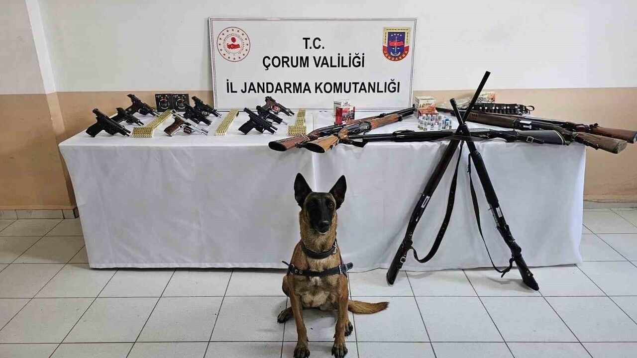 Çorum İskilip'te jandarmadan 'düğün magandalarına' operasyon: 11 gözaltı