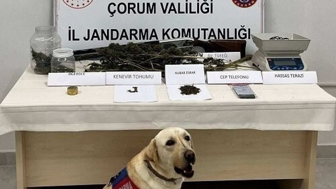 Çorum Osmancık'ta uyuşturucu operasyonu: 1 kişi tutuklandı