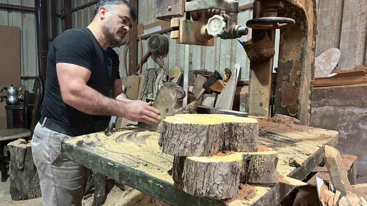 Çürümüş zeytin ağaçlarını sanat eserine dönüştüren marangoz