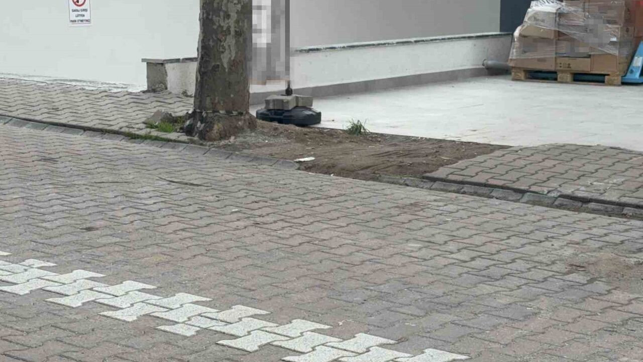 Darıca'da Poşetten 60 Bin Dolar Çıktı