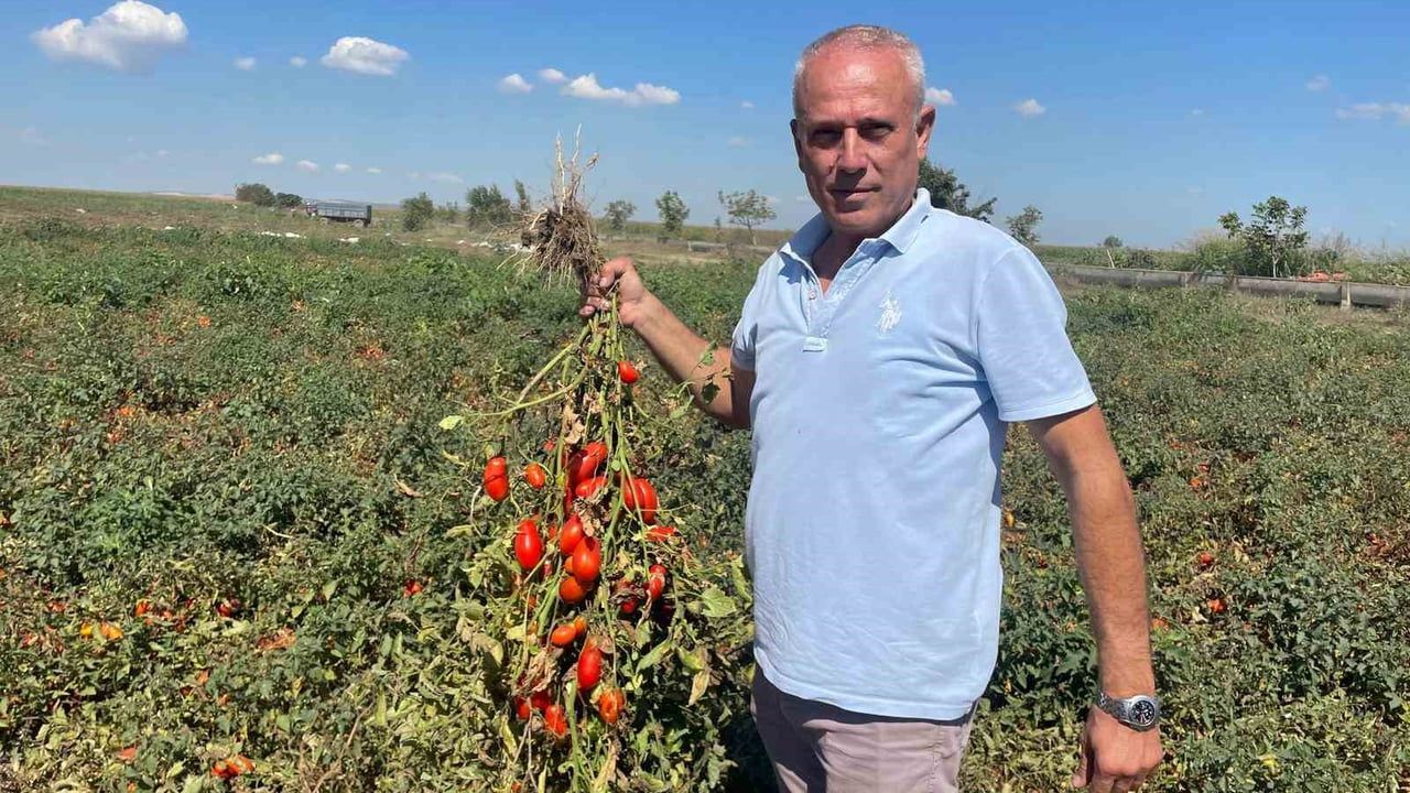 Dedesi muhtarlık seçimini kazanınca 'Seçim' adını aldı