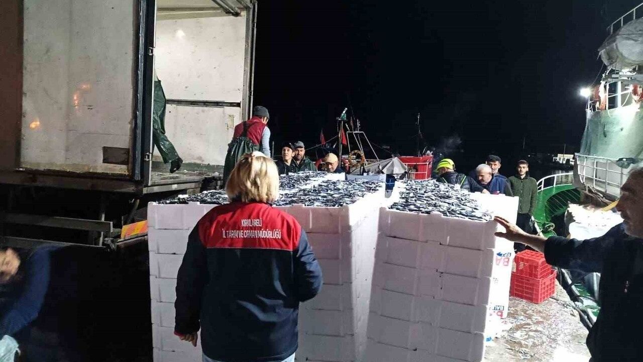 Demirköy İğneada’da Hamsi Denetimi: Kota ve Taşıma Koşulları Kontrol Edildi