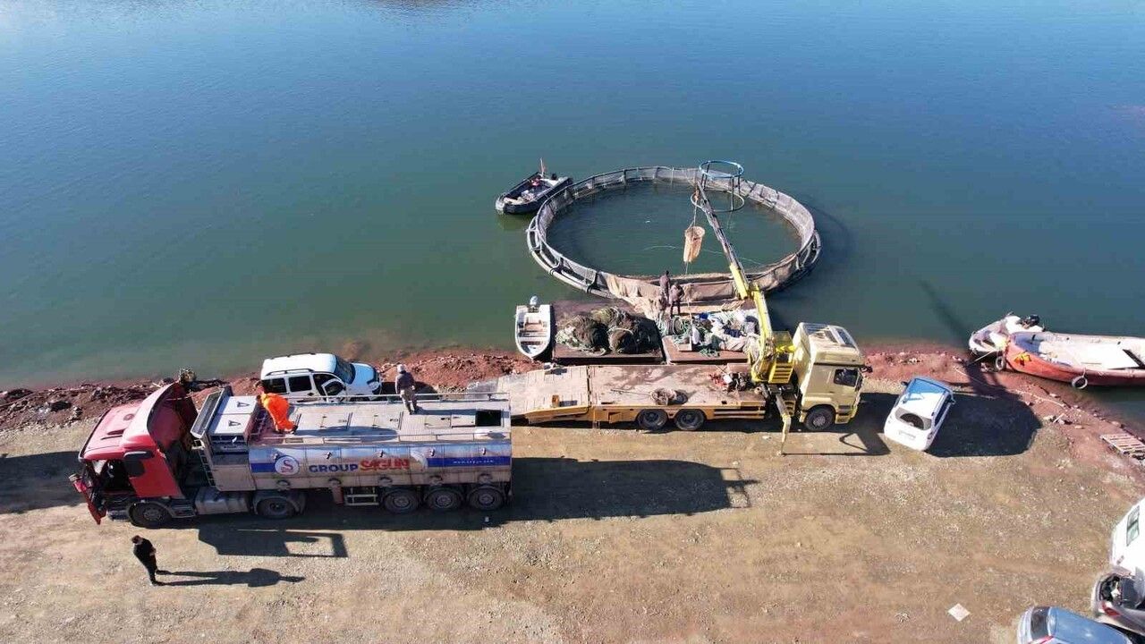 Denizi Olmayan Tokat’ta Yetişen Türk Somonları Dünya Sofralarına Ulaşıyor