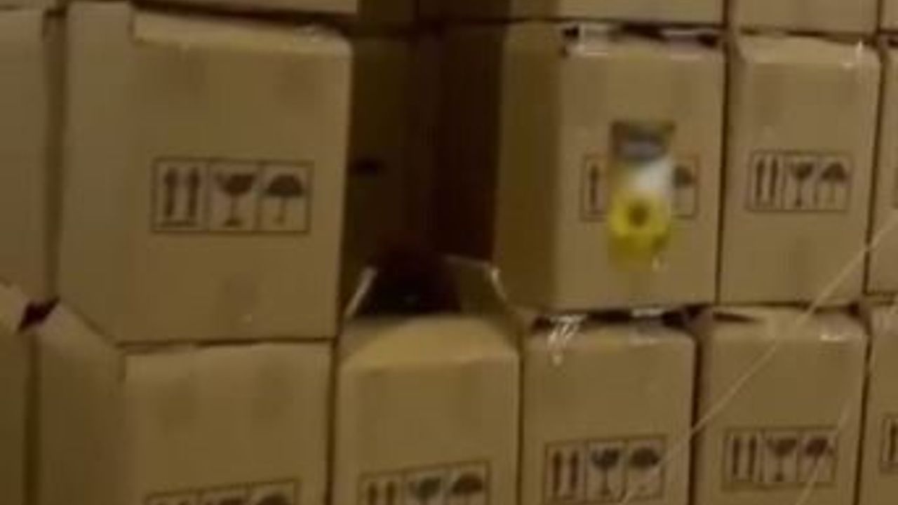 Denizli’de Kaçak Bitkisel Yağ Operasyonu: Binlerce Litre Ele Geçirildi