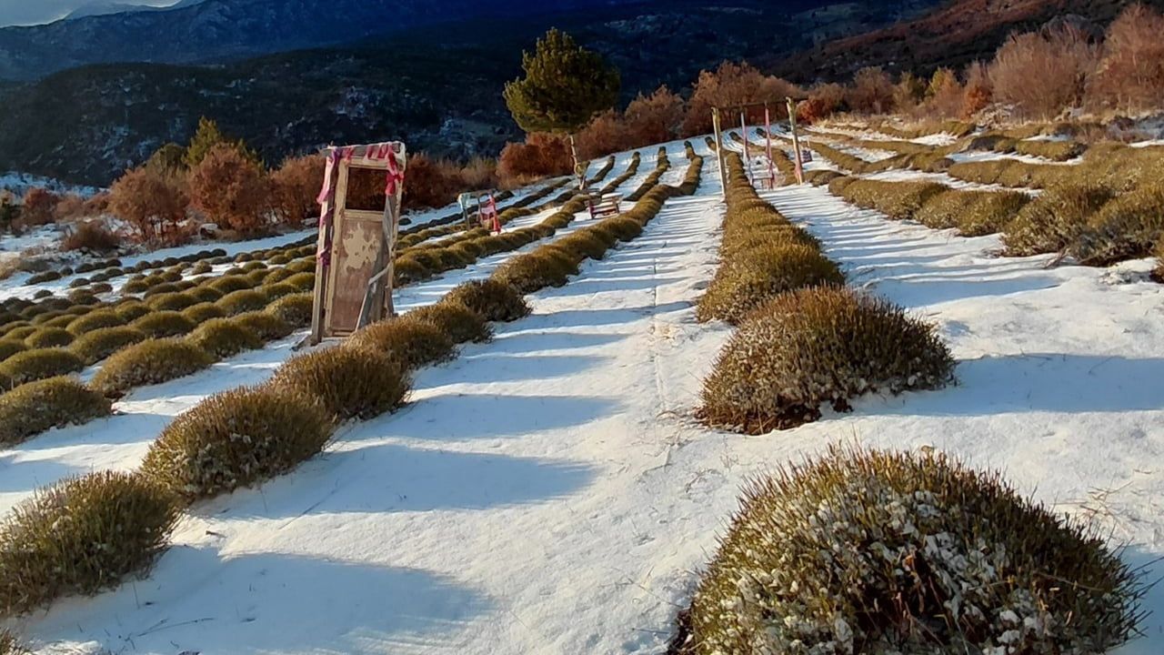 Derebucak’ta kar lavantayı beyaza çevirdi, barajlarda su yükseldi