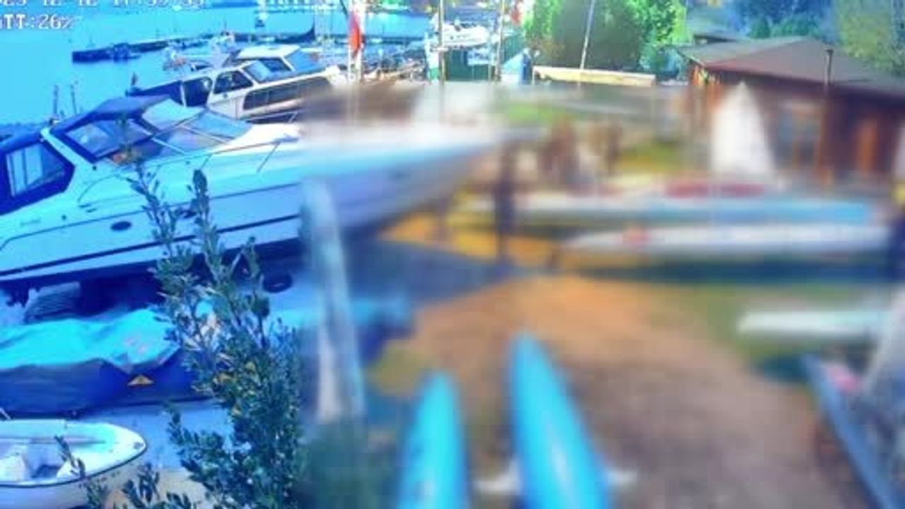 Derince'de kaçak deniz küreği operasyonu: İki tekneye el konuldu