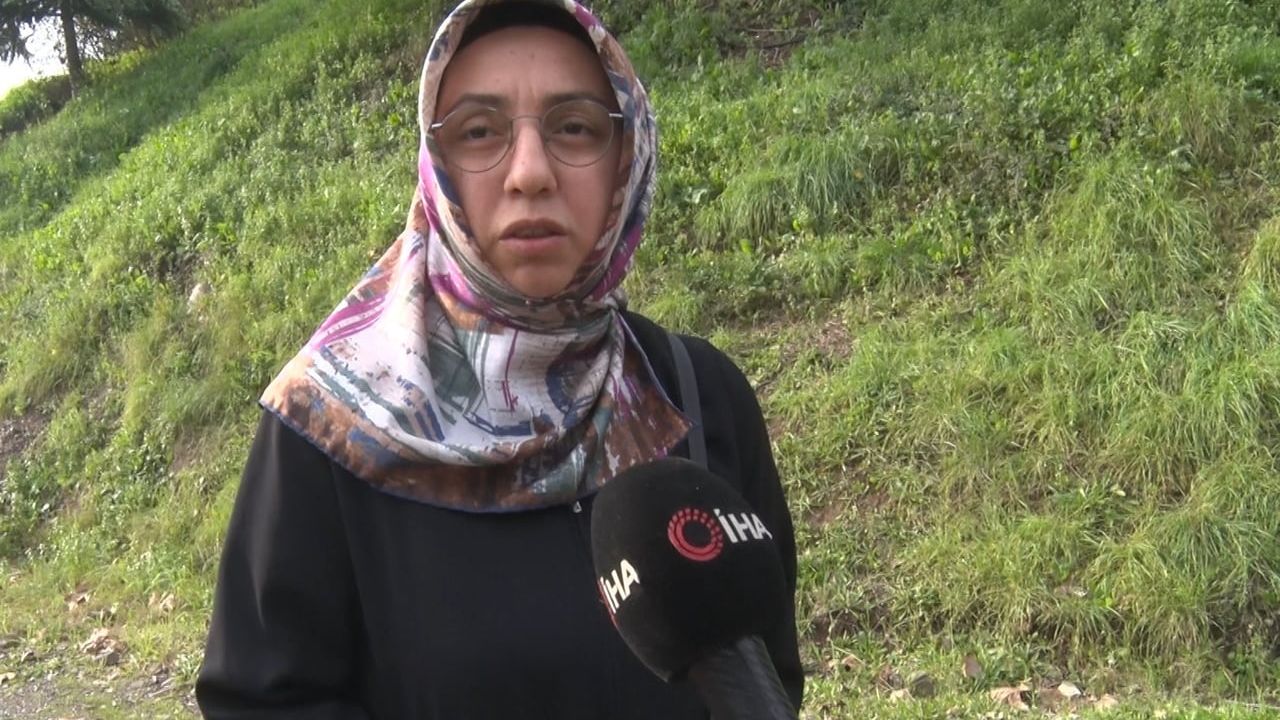 Derince'de sürü halinde gezen başıboş köpekler vatandaşları tedirgin etti