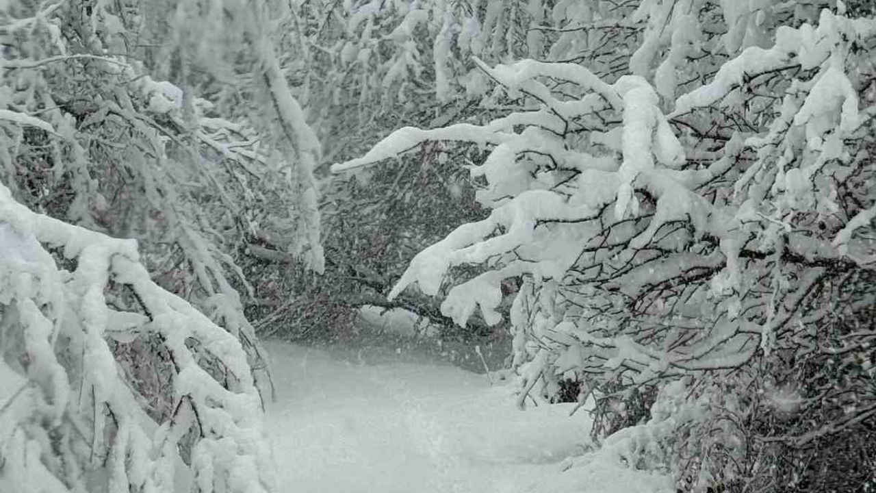 Devrek'te 45 köy yolu kar yağışı nedeniyle ulaşıma kapandı