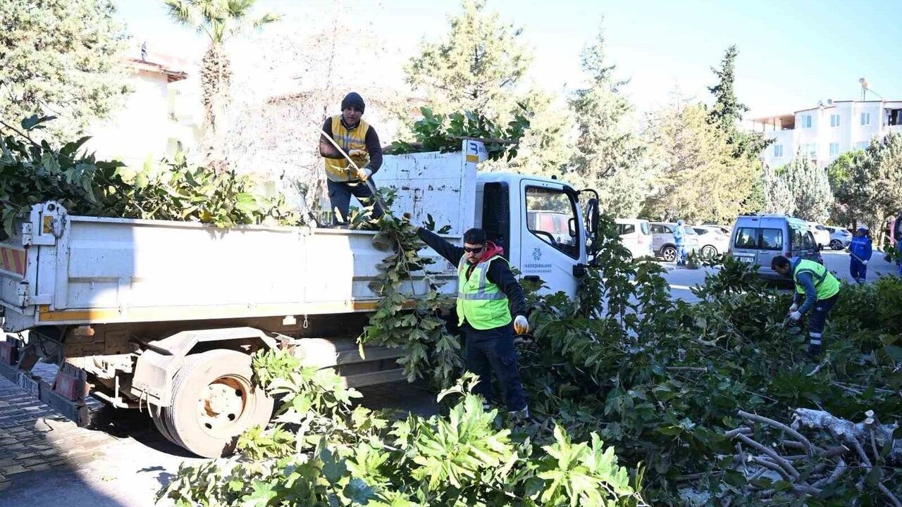 Didim’de Büyükşehir ekiplerinden kapsamlı çevre temizliği