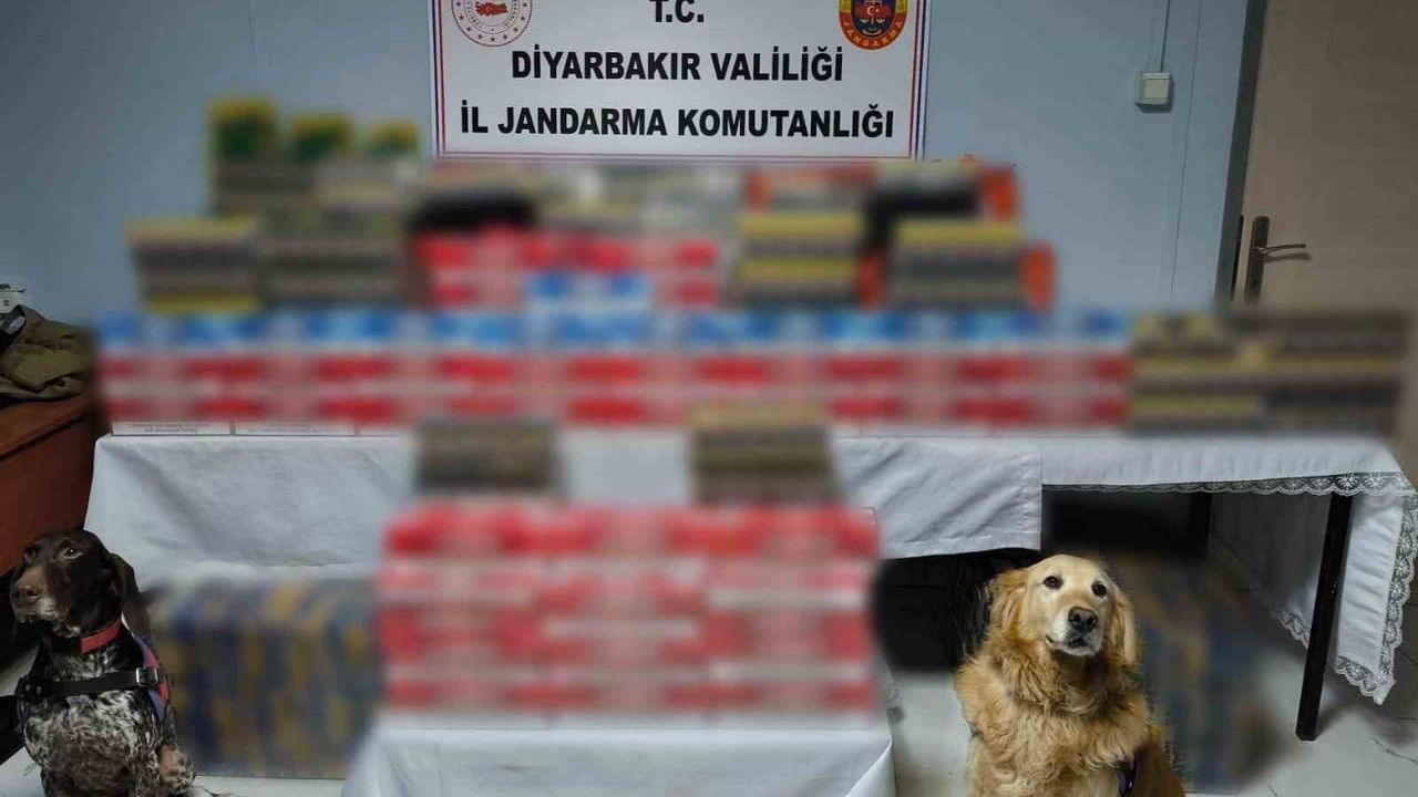 Diyarbakır’da jandarma operasyonu: 91 şüpheliye işlem