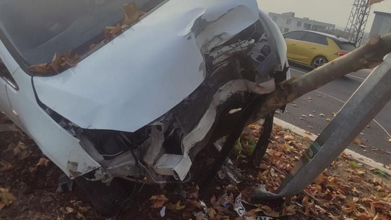 Diyarbakır'da şerit değiştiren araca çarpmamak isteyen sürücü refüjdeki ağaca ve direğe çarptı