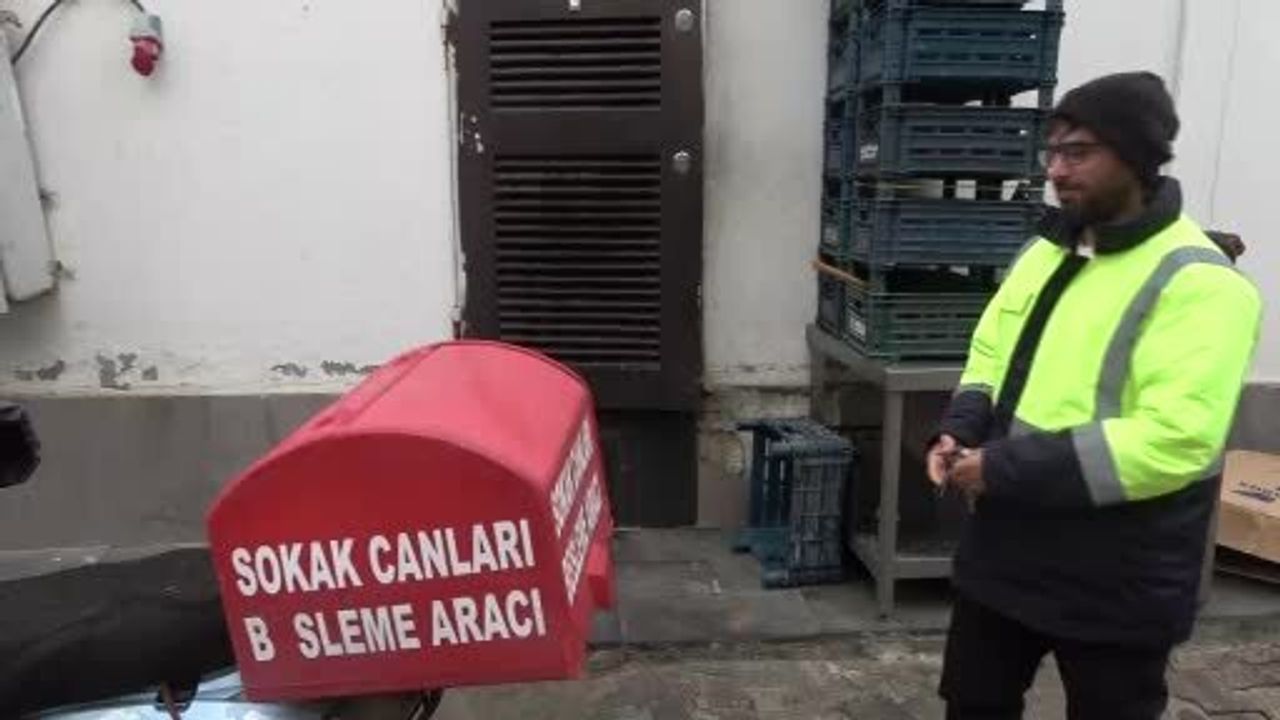 Diyarbakır'da Sokak Hayvanlarına Adanmış Hayat: Kadir Aydoğmuş