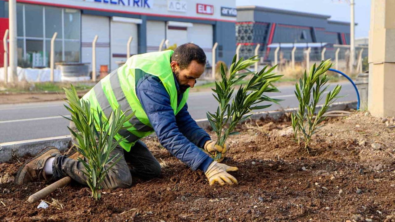Diyarbakır Mardin Yolu 14 kilometrelik giriş ağaçlandırma çalışması