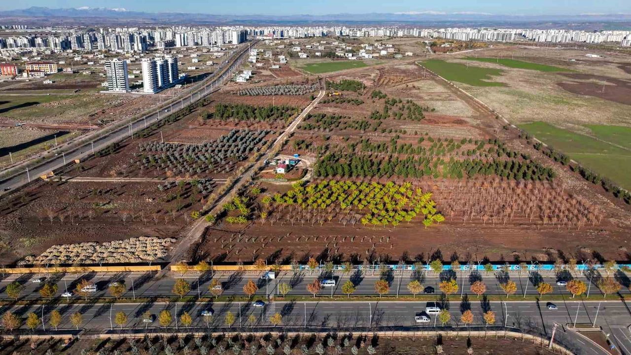 Diyarbakır Naturapark’ında altyapı çalışmaları başladı