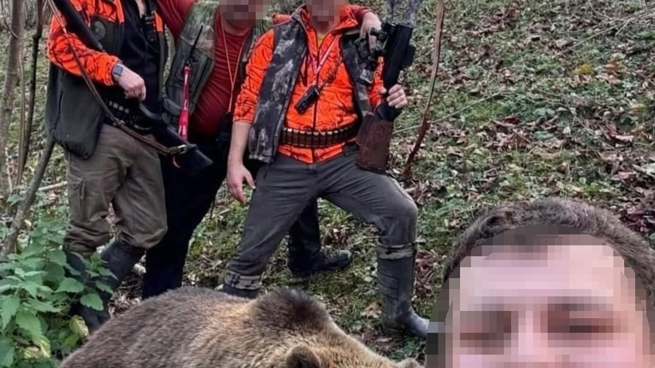 Doğu Karadeniz'de sürek avında ilk ayı vuruldu