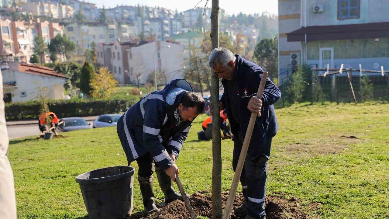 Düzce’de 52 fidanla yeşil doku güçlendi