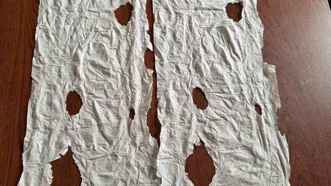 Düzce'de dinlenme tesisinde peçeteye emdirilmiş uyuşturucu ele geçirildi