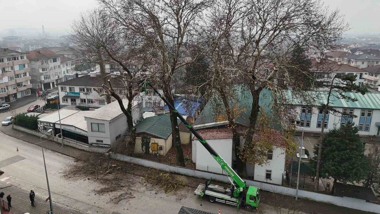 Düzce'de kış için ağaç budama çalışması