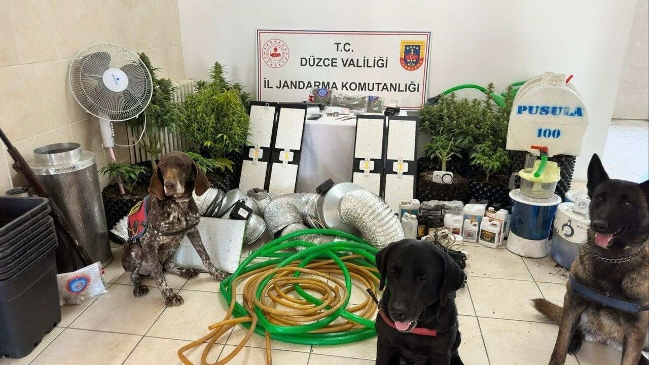 Düzce'de Uyuşturucu Operasyonu: 1 Kişi Gözaltına Alındı