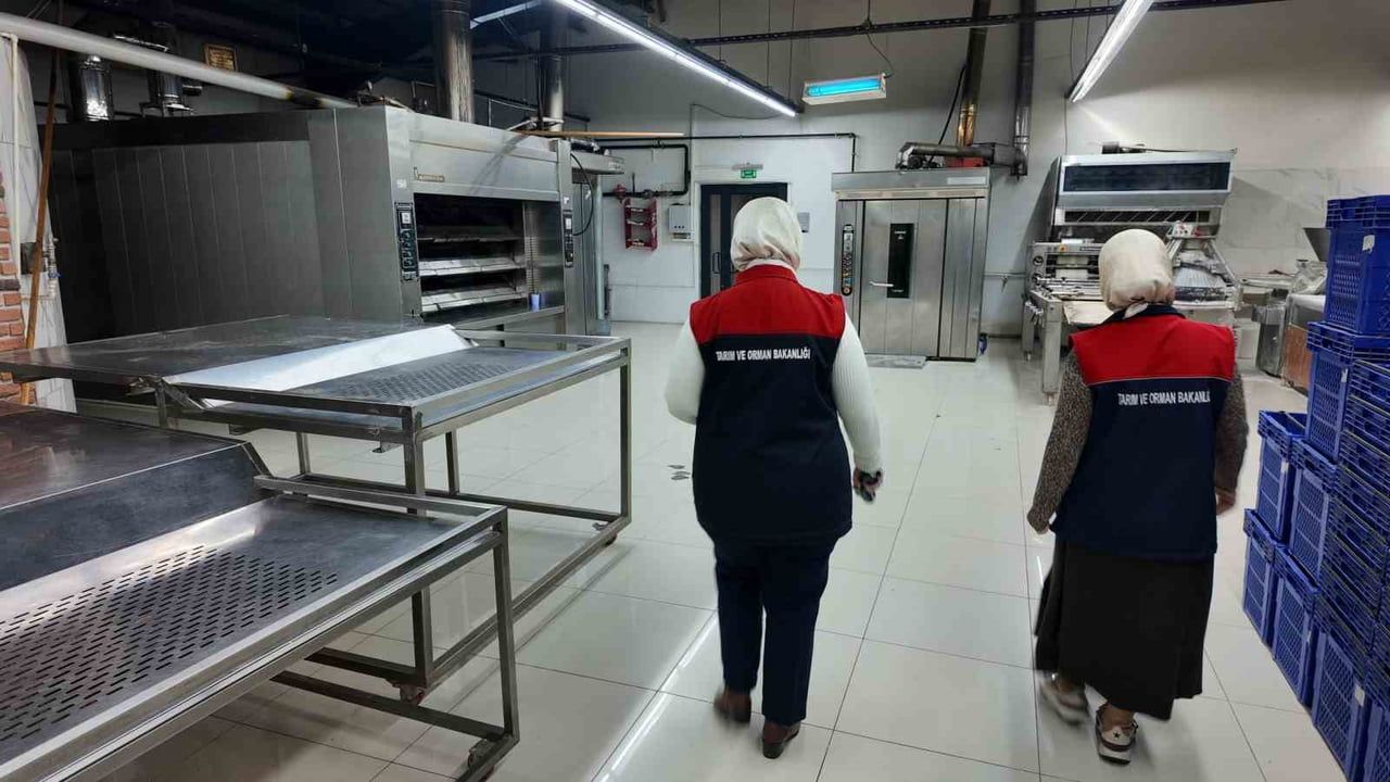 Düzce'de yılbaşı öncesi şok gıda denetimleri: 132 işletmeye 8 milyon 609 bin 853 lira ceza