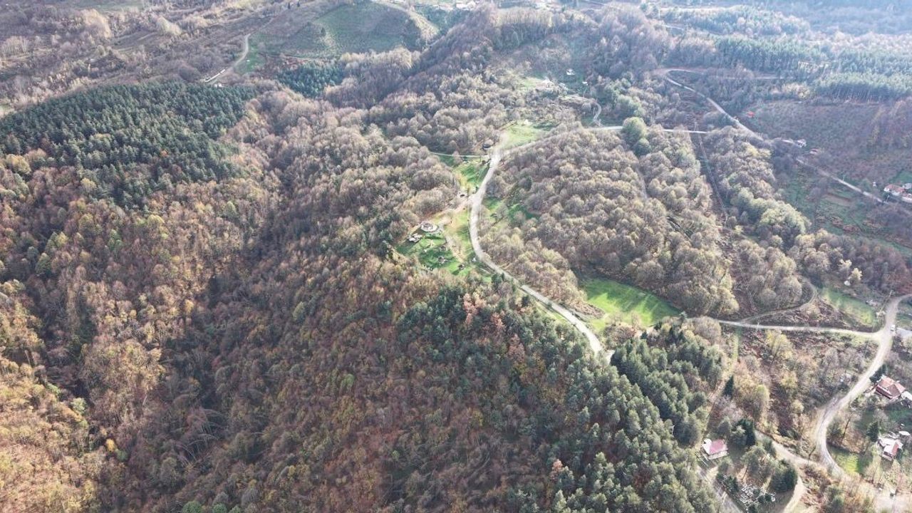 Düzce ormanlarında sonbaharda renk cümbüşü
