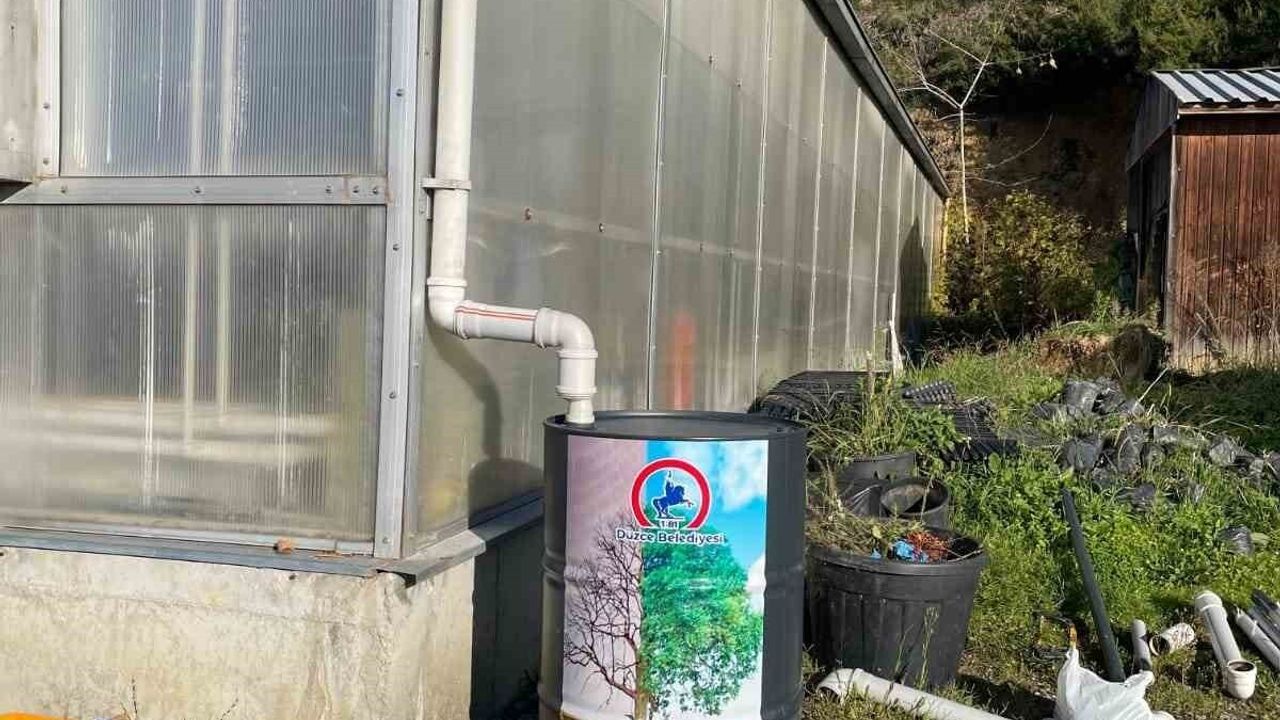 Düzce Üniversitesi'nde serada yağmur suyu hasadı uygulaması başlatıldı