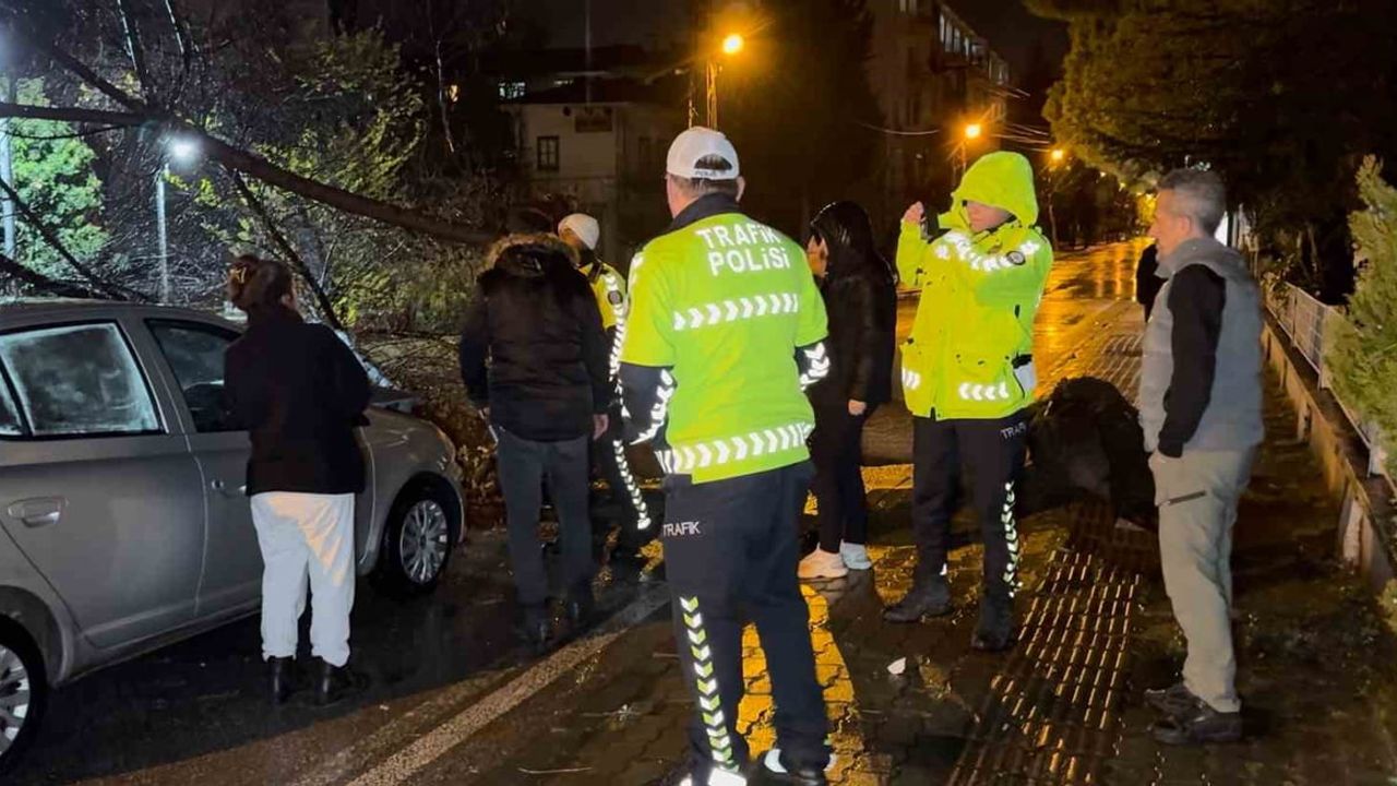 Edirne'de Seyir Halindeki Otomobilin Üzerine Ağaç Devrildi
