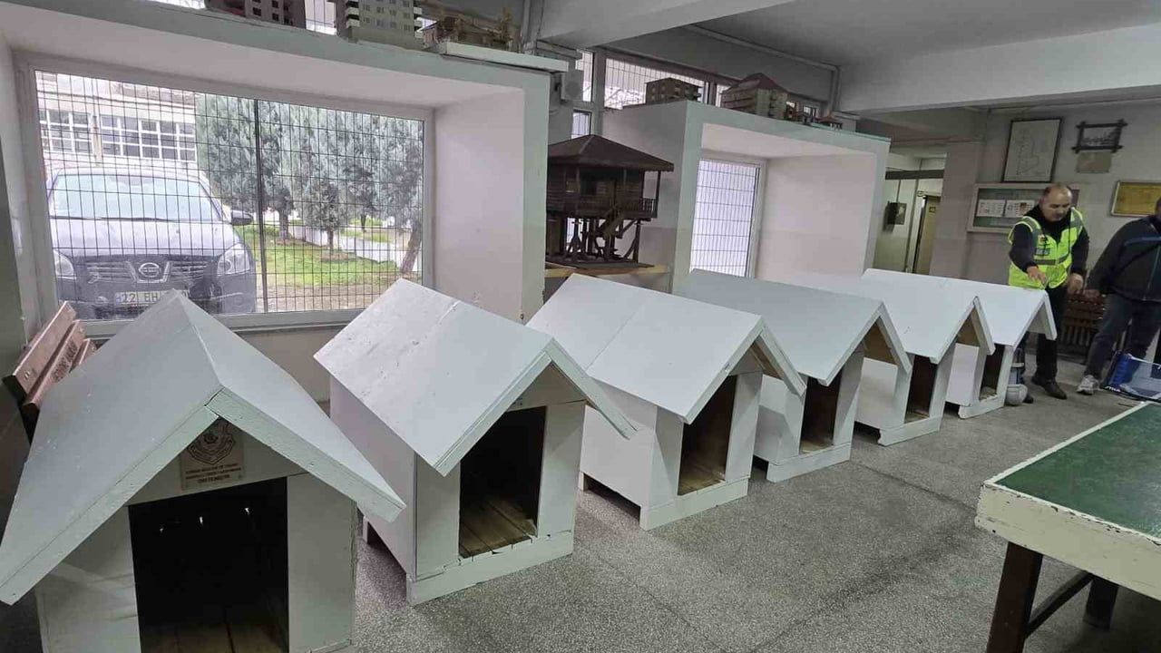 Edirne Meslek Lisesinden Sokak Hayvanlarına Kulübe Desteği