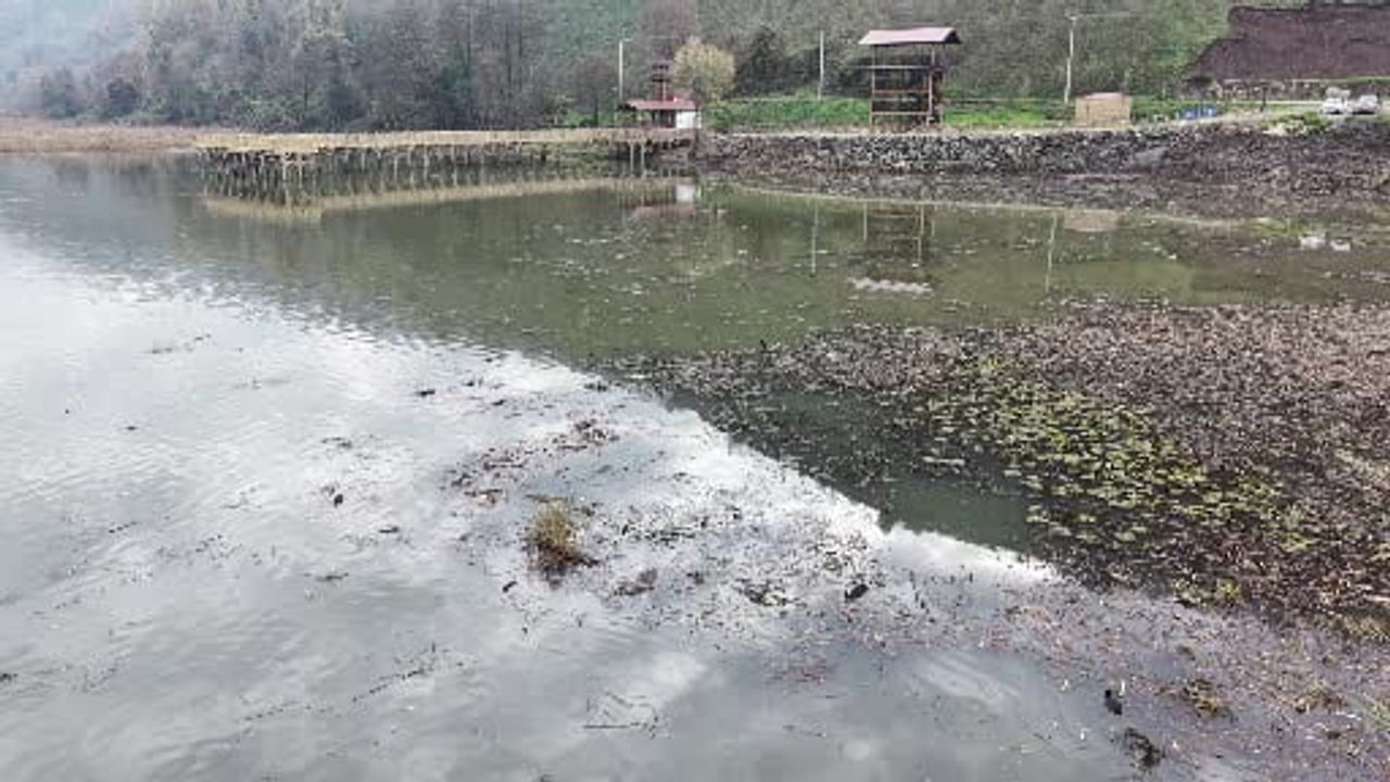 Efteni Gölü çevre düzenlemeleriyle ziyaretçilerine yeni yüzünü sunuyor