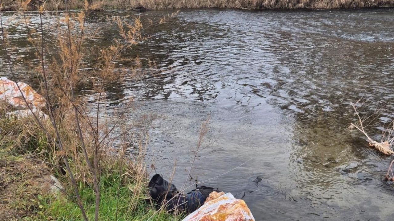 Ege Ekspresi çarpması: Tavşanlı yakınlarında 79 yaşındaki yaya yaşamını yitirdi