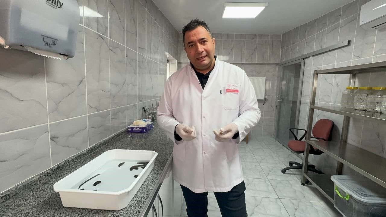 Eğirdir'de yılda 20 bin steril tıbbi sülük üretiliyor