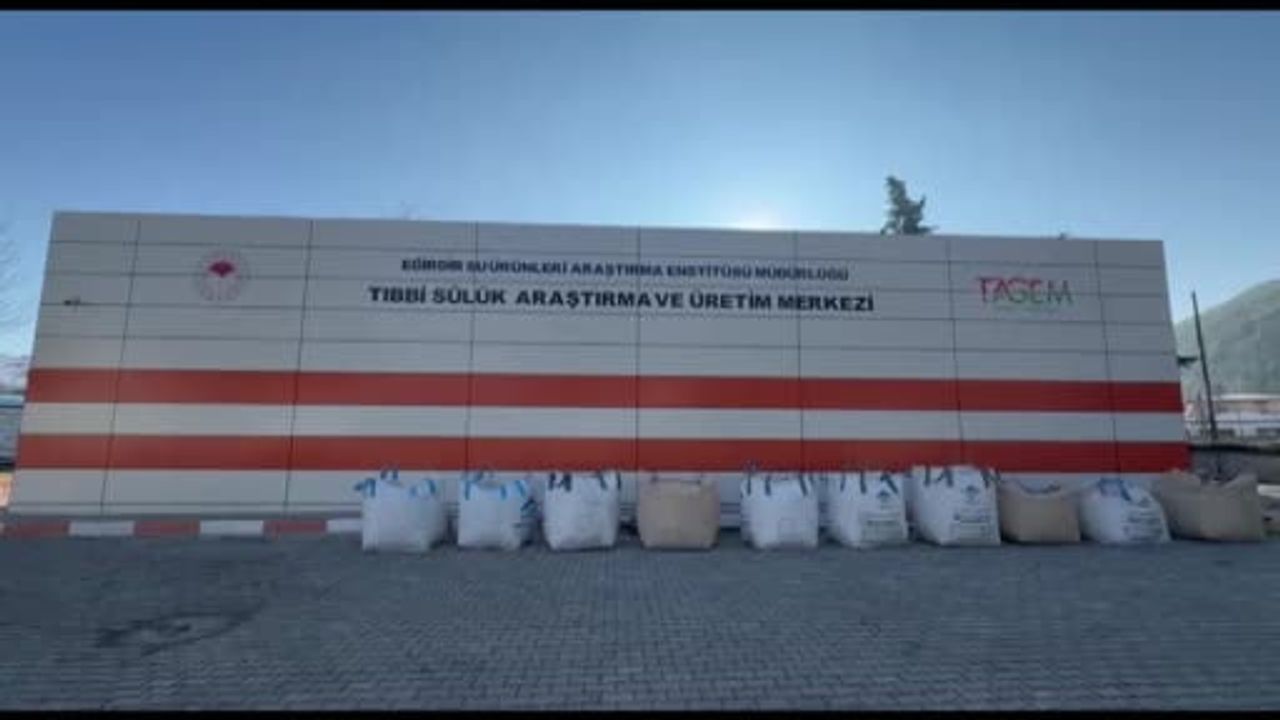 Eğirdir’de Yılda 20 Bin Steril Tıbbi Sülük Üretimi Sürüyor