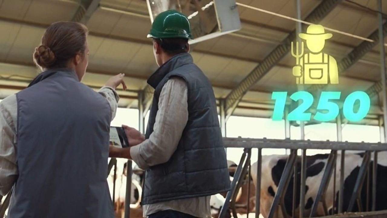 Elazığ'da Cevizdere Besi Organize Tarım Bölgesi altyapısı tamamlandı