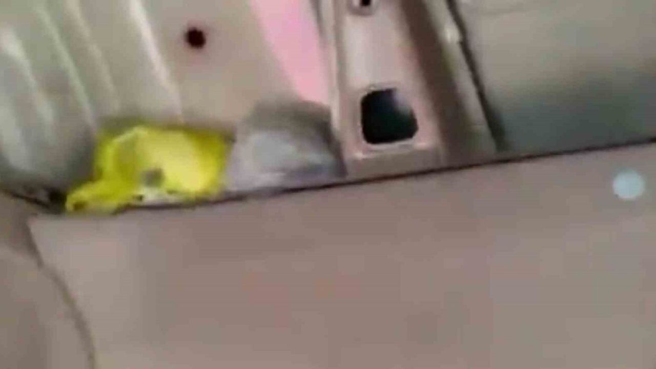 Elazığ'da narkotik operasyonu: 1 kilo 935 gram metamfetamin ele geçirildi