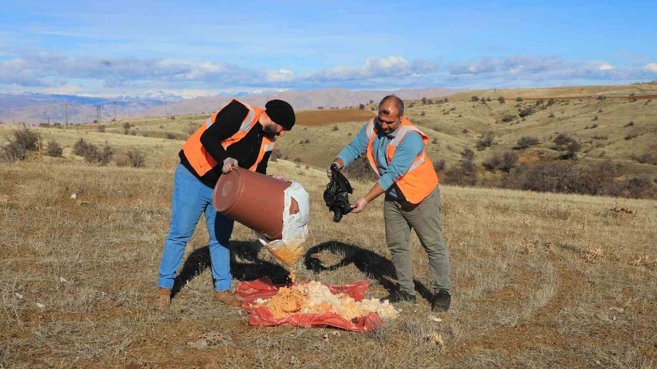 Elazığ'da sokak ve yaban hayvanlarına yem bırakıldı