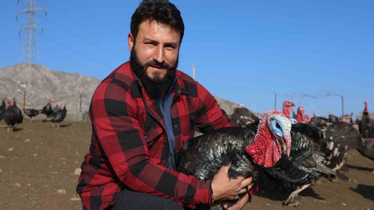 Elazığlı girişimci Murat Varan, Kıraç'ta 10 dönümlük hindi çiftliği kurdu