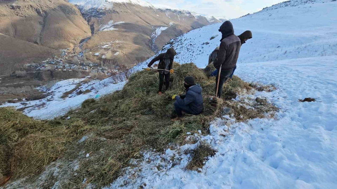 Erciş'te asırlık kış mesaisi: Otlar kızaklarla köye taşınıyor