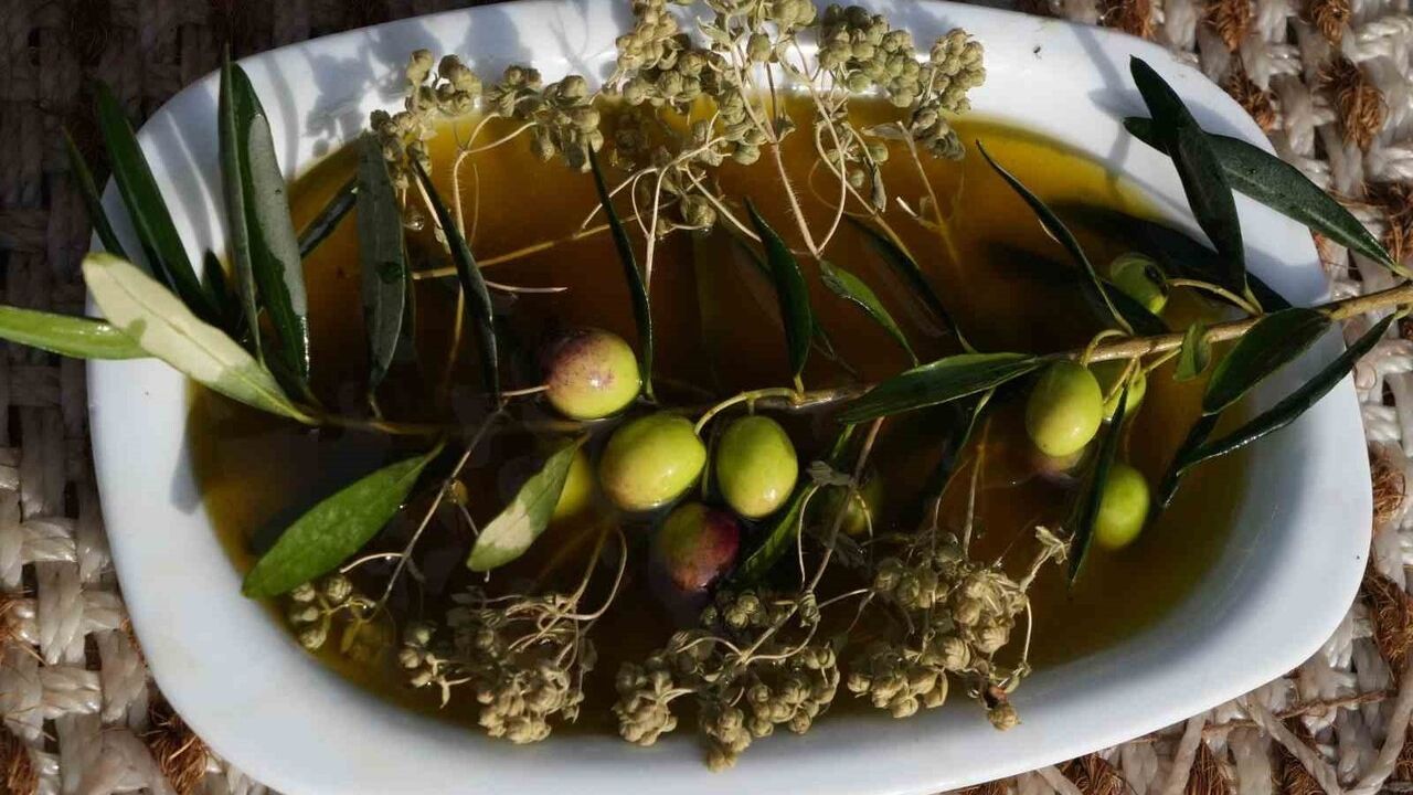 Erken ve olgun hasat zeytinyağları farklı içeriklere sahip — Dr. Mücahit Kıvrak