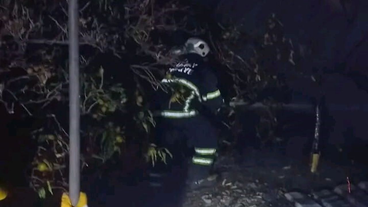 Erzin’de baraka yangını itfaiye tarafından söndürüldü