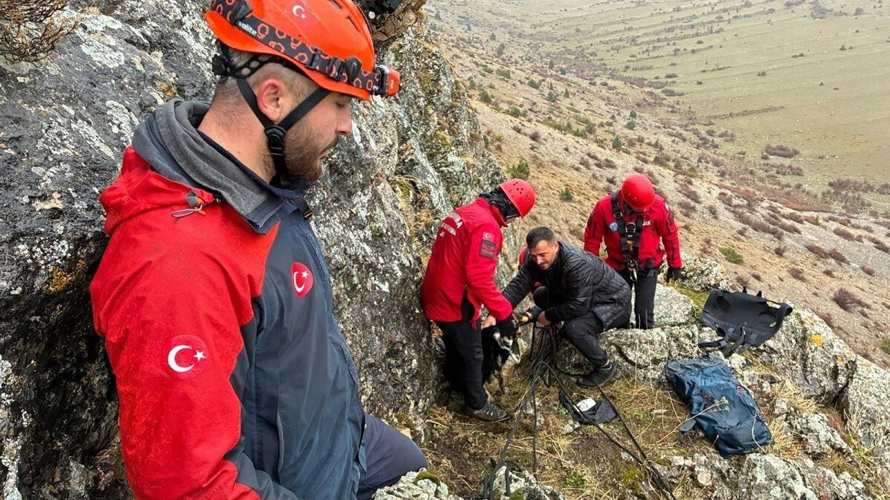 Erzincan'da Kayalıklarda Mahsur Kalan 10 Keçi JAK ve AFAD ile Kurtarıldı