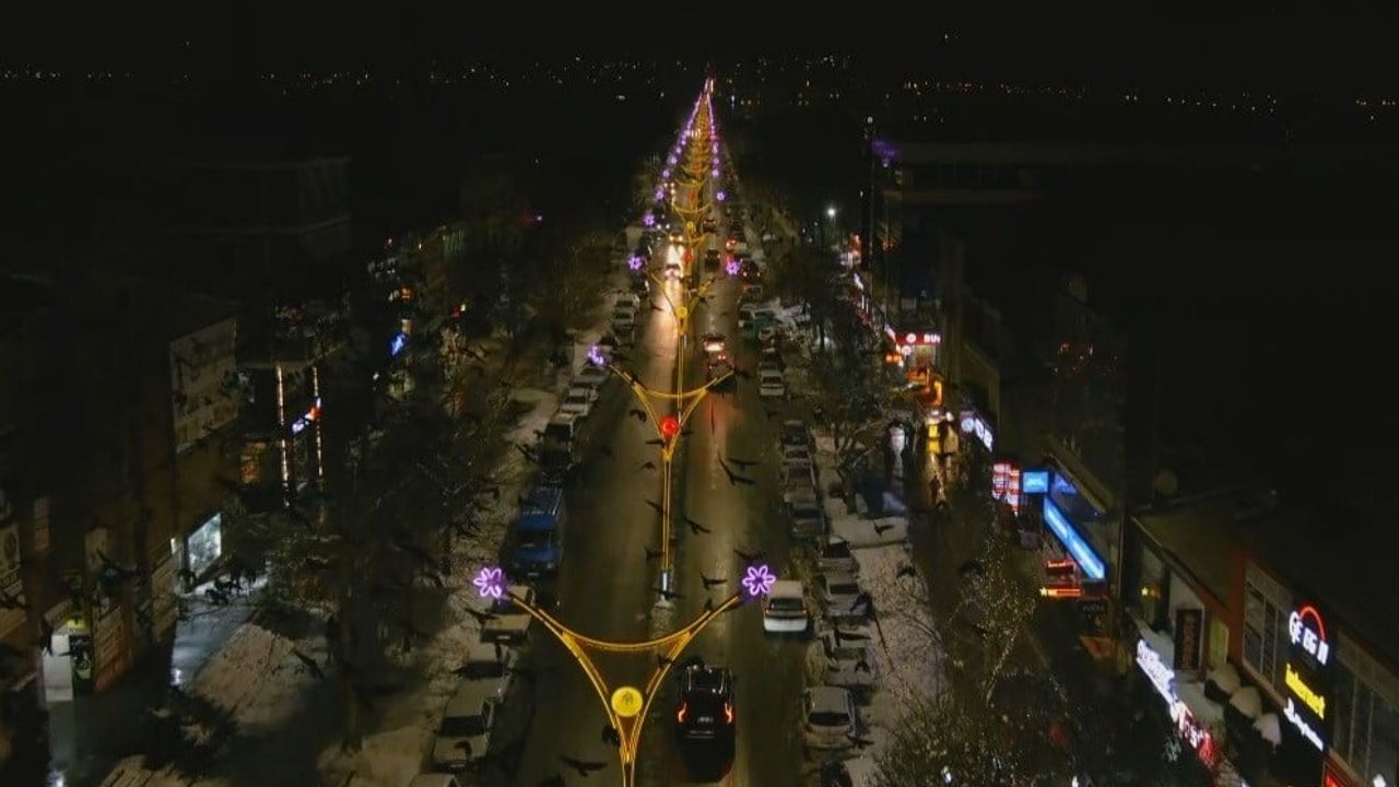 Erzincan'da kış akşamları binlerce karga kent merkezini dolduruyor