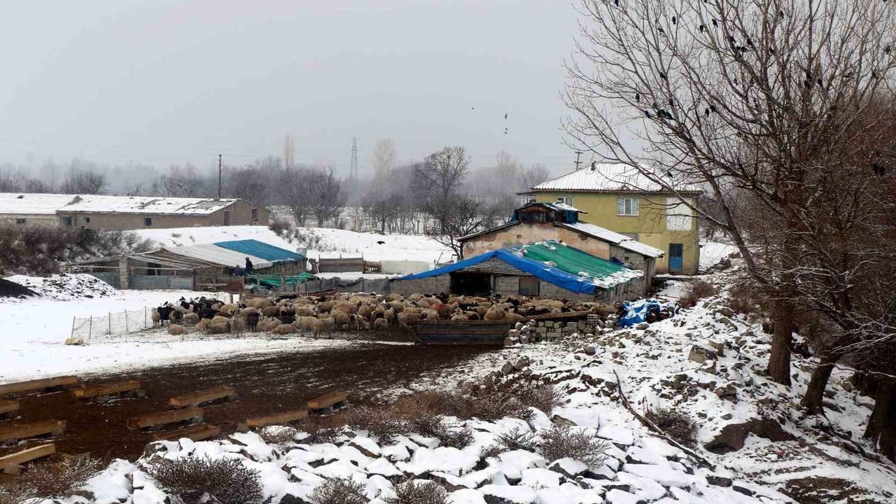 Erzincan'da toprak damlı evlerde baca küreme mesaisi