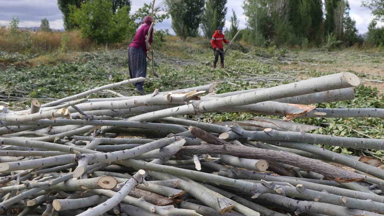 Erzincan kırsalında odunla ısınma: Kömür pahalı, odun tercih ediliyor