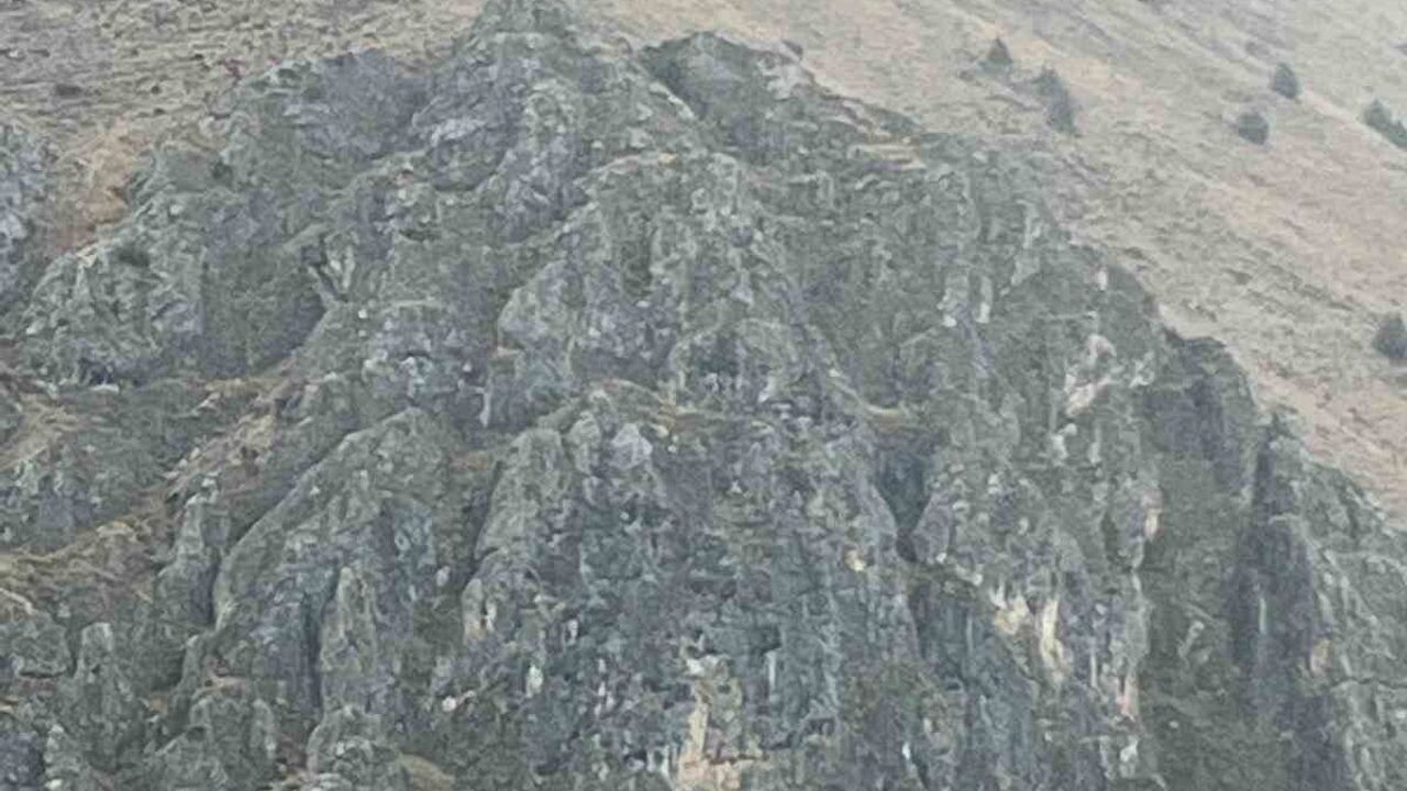 Erzincan Tatlısu'da Kayalıklarda Sıkışan 10 Keçi İçin Kurtarma Başlatıldı