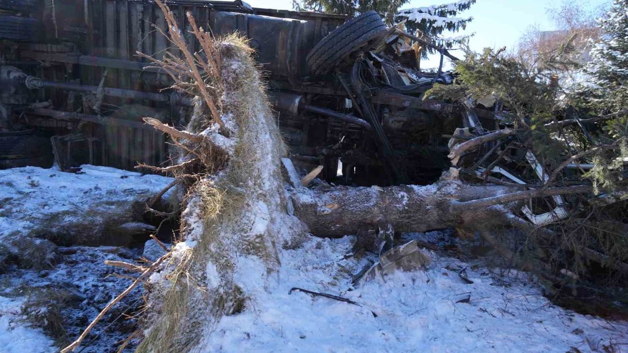 Erzurum'da kontrolünü kaybeden kamyon refüje çıkarak devrildi, ağaç kökünden söküldü
