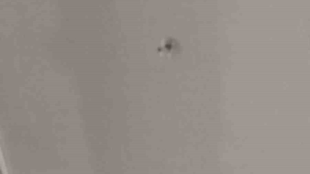 Esenyurt’ta alkollü maganda paniği: Evin camına kurşun isabet etti