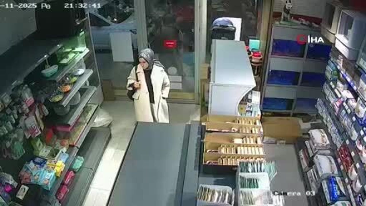 Esenyurt'ta Pet Shop'a Bırakıldığı İddia Edilen Kedi Olayı